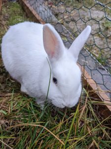 PXL_20211130_143356533