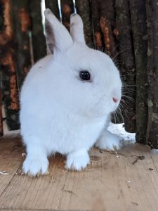 PXL_20220114_152334158.PORTRAIT